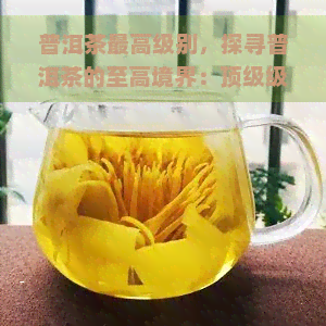 普洱茶更高级别，探寻普洱茶的至高境界：顶级级别的独特魅力与品尝技巧