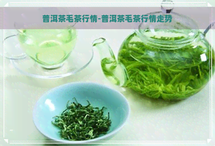 普洱茶毛茶行情-普洱茶毛茶行情走势