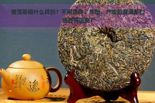 普洱茶喝什么样的？不同品种、年份、产地的普洱茶口感有何区别？