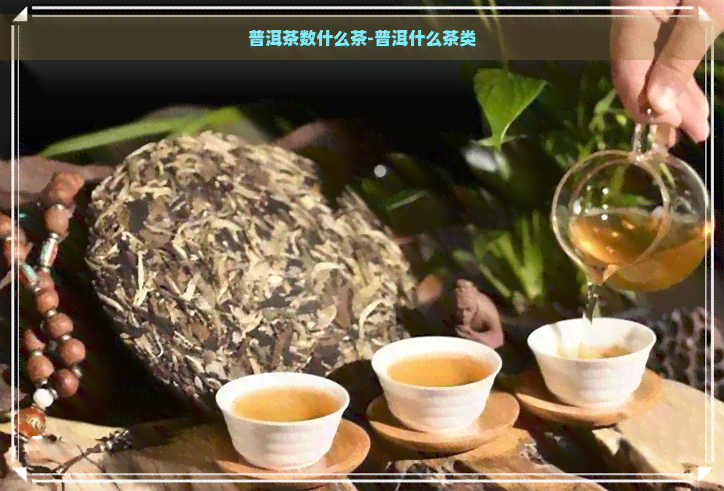 普洱茶数什么茶-普洱什么茶类