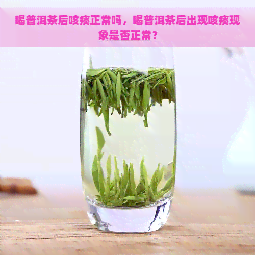 喝普洱茶后咳痰正常吗，喝普洱茶后出现咳痰现象是否正常？