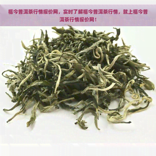 福今普洱茶行情报价网，实时了解福今普洱茶行情，就上福今普洱茶行情报价网！