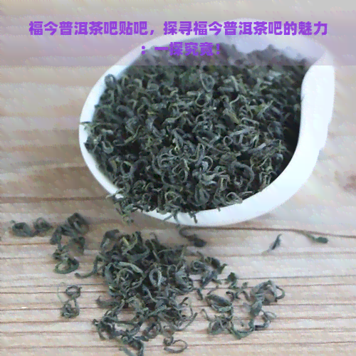 福今普洱茶吧贴吧，探寻福今普洱茶吧的魅力：一探究竟！