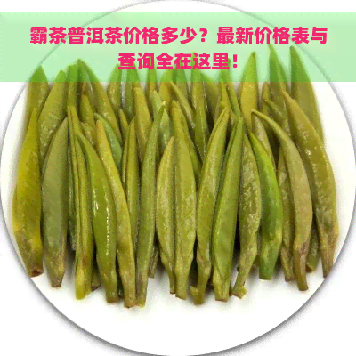 霸茶普洱茶价格多少？最新价格表与查询全在这里！