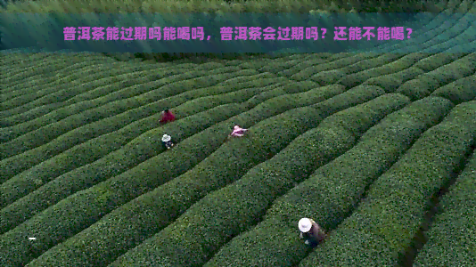 普洱茶能过期吗能喝吗，普洱茶会过期吗？还能不能喝？