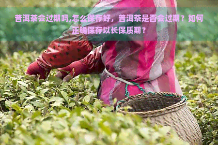 普洱茶会过期吗,怎么保存好，普洱茶是否会过期？如何正确保存以长保质期？