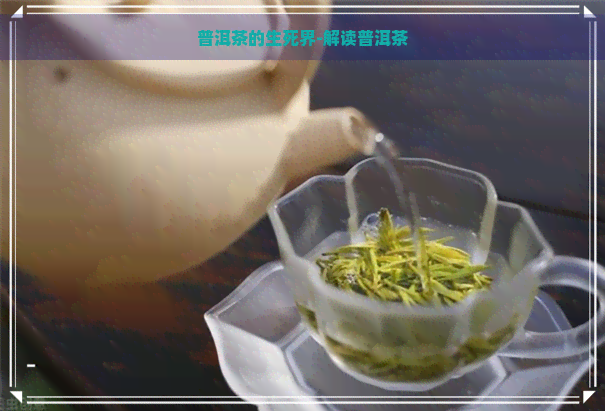 普洱茶的生死界-解读普洱茶