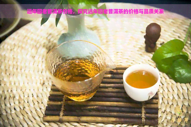 远年回老普洱茶价格，探究远年回老普洱茶的价格与品质关系