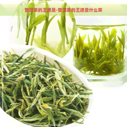 普洱茶的王道是-普洱茶的王道是什么茶