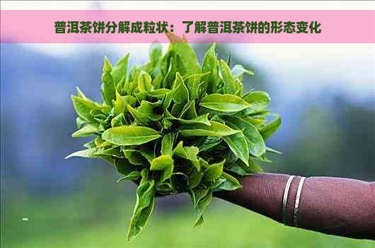 普洱茶饼分解成粒状：了解普洱茶饼的形态变化