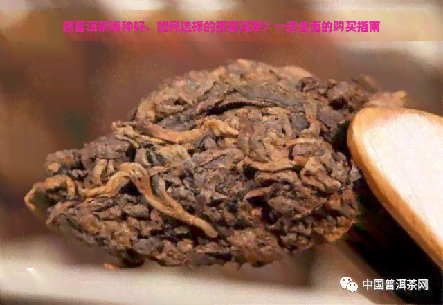 熟普洱茶哪种好，如何选择的熟普洱茶？一份全面的购买指南