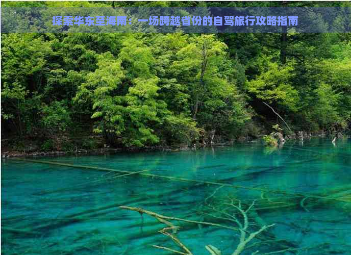 探索华东至海南：一场跨越省份的自驾旅行攻略指南