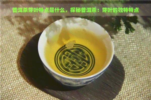 普洱茶芽叶特点是什么，探秘普洱茶：芽叶的独特特点