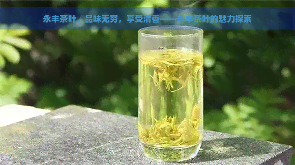 永丰茶叶，品味无穷，享受清香——永丰茶叶的魅力探索