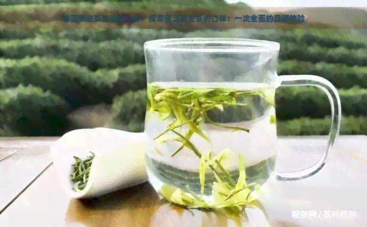 普洱茶生茶口味怎么样，探索普洱茶生茶的口味：一次全面的品鉴体验