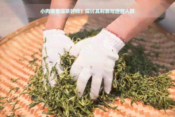 小肉喝普洱茶好吗？探讨其利弊与适宜人群