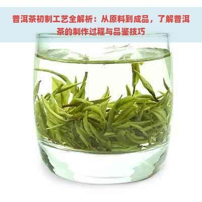 普洱茶初制工艺全解析：从原料到成品，了解普洱茶的制作过程与品鉴技巧