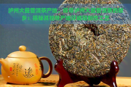 泸州大益普洱茶产地，探寻泸州大益普洱茶的故乡：揭秘其独特产地环境和制作工艺