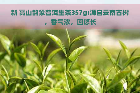 新 高山韵象普洱生茶357g:源自云南古树，香气浓，回悠长