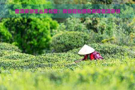 普洱茶饼怎么弄松散：教你轻松拥有美味普洱茶饼