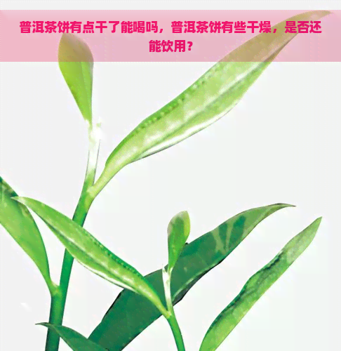 普洱茶饼有点干了能喝吗，普洱茶饼有些干燥，是否还能饮用？