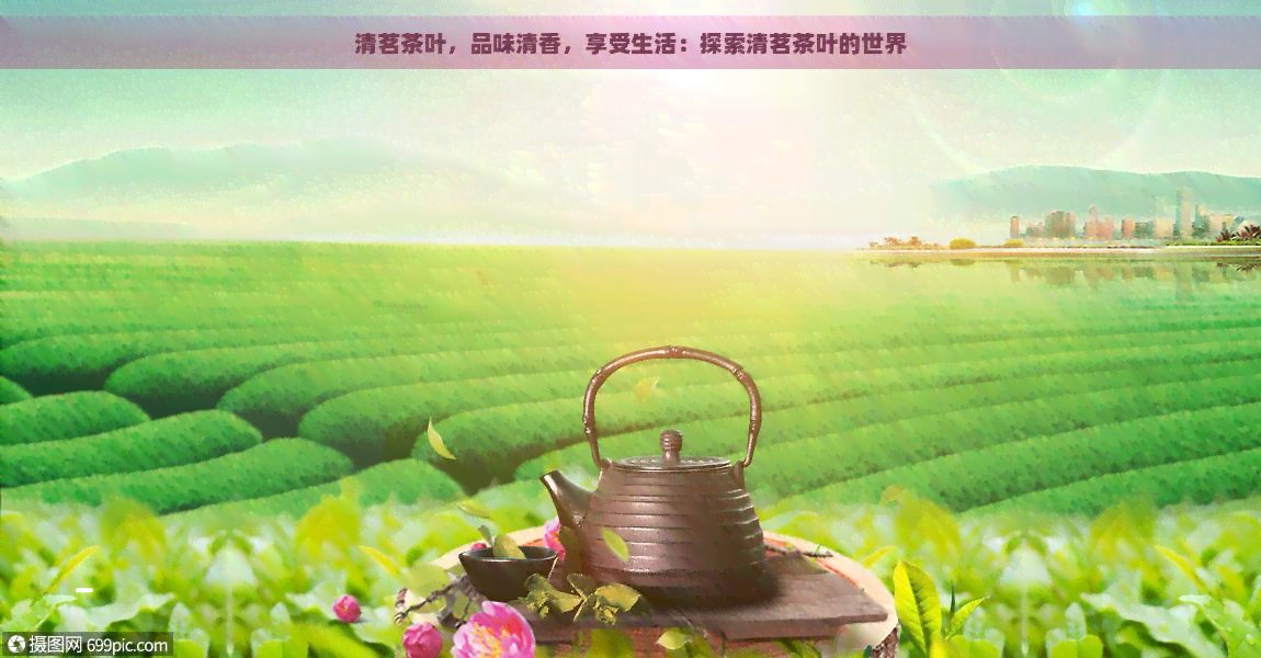 清茗茶叶，品味清香，享受生活：探索清茗茶叶的世界