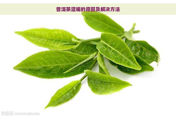 普洱茶涩嘴的原因及解决方法