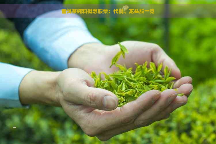 普洱茶纯料概念股票：代码、龙头股一览