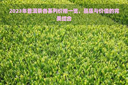 2023年普洱茶各系列价格一览，品质与价值的完美结合