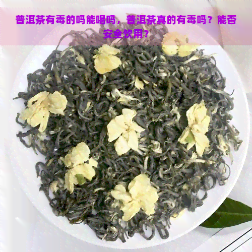 普洱茶有的吗能喝吗，普洱茶真的有吗？能否安全饮用？