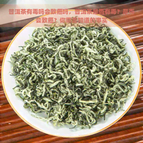 普洱茶有吗会致癌吗，普洱茶是否有？是否会致癌？你需要知道的事实