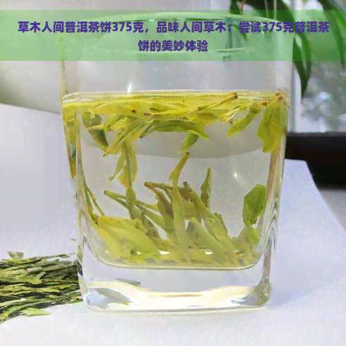 草木人间普洱茶饼375克，品味人间草木：尝试375克普洱茶饼的美妙体验