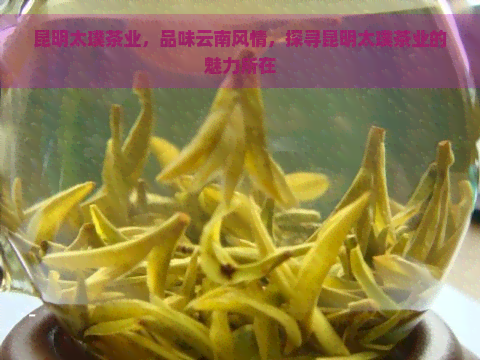 昆明太璞茶业，品味云南风情，探寻昆明太璞茶业的魅力所在