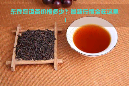 东香普洱茶价格多少？最新行情全在这里！