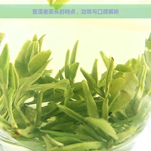 普洱老茶头的特点、功效与口感解析