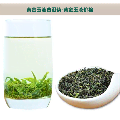 黄金玉液普洱茶-黄金玉液价格