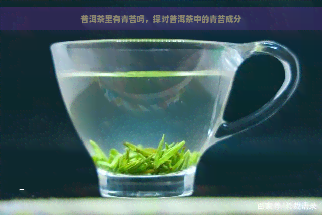 普洱茶里有青苔吗，探讨普洱茶中的青苔成分