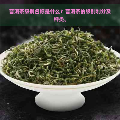 普洱茶级别名称是什么？普洱茶的级别划分及种类。