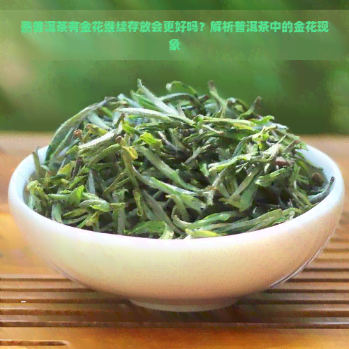 熟普洱茶有金花继续存放会更好吗？解析普洱茶中的金花现象