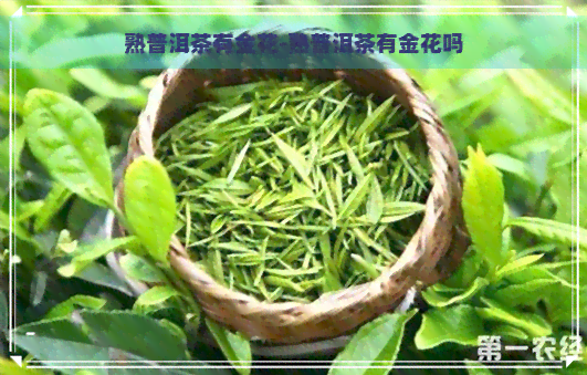 熟普洱茶有金花-熟普洱茶有金花吗