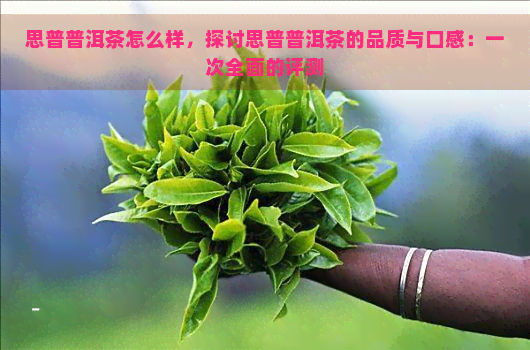 思普普洱茶怎么样，探讨思普普洱茶的品质与口感：一次全面的评测