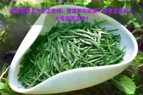 喝普洱茶上大号正常吗，普洱茶与排便：喝普洱茶后上大号是否正常？