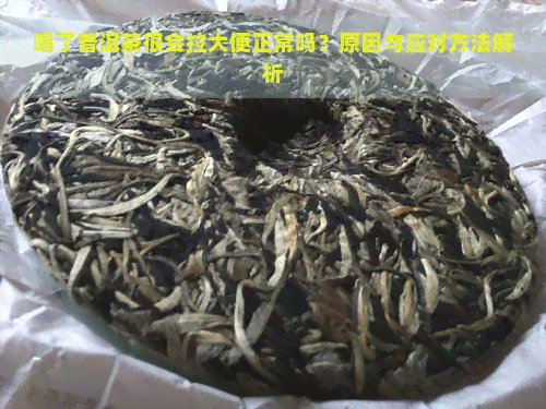 喝了普洱茶很会拉大便正常吗？原因与应对方法解析