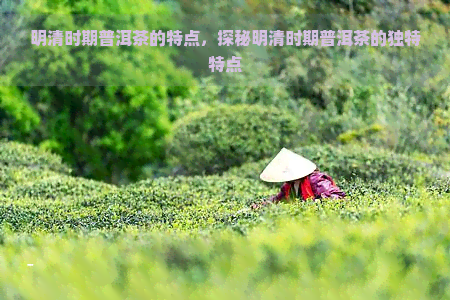 明清时期普洱茶的特点，探秘明清时期普洱茶的独特特点