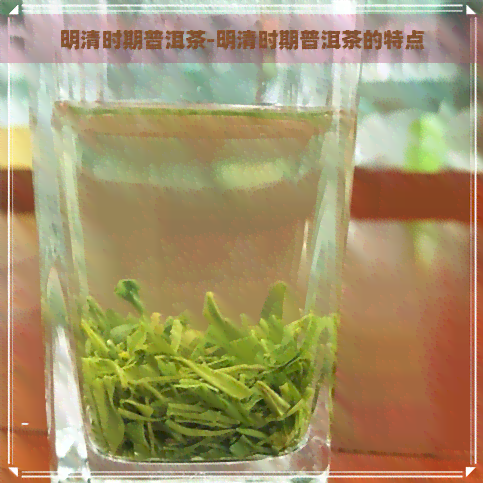 明清时期普洱茶-明清时期普洱茶的特点