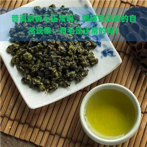 普洱茶有毛正常吗，揭秘普洱茶的自然现象：有毛是正常的吗？