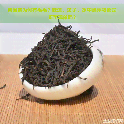 普洱茶为何有毛毛？味道、虫子、水中漂浮物都是正常现象吗？