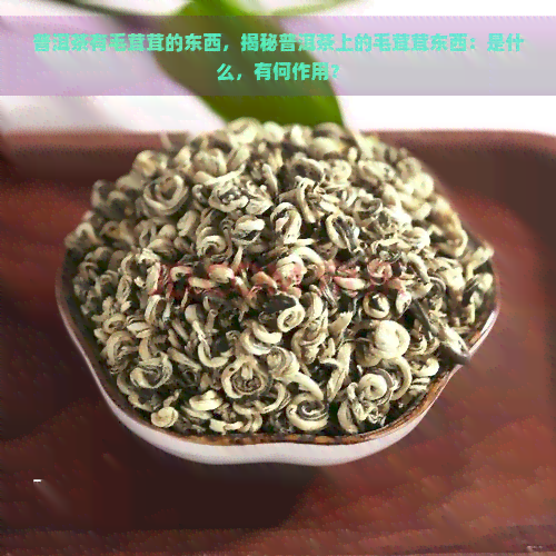 普洱茶有毛茸茸的东西，揭秘普洱茶上的毛茸茸东西：是什么，有何作用？