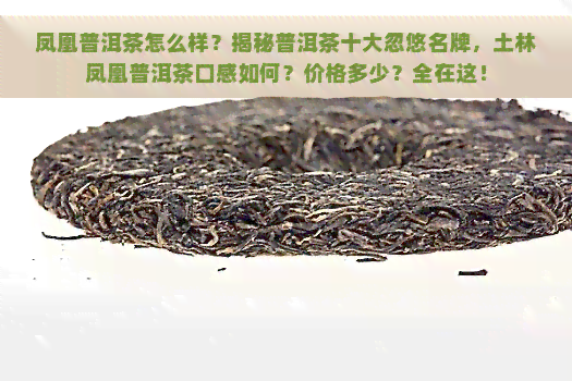 凤凰普洱茶怎么样？揭秘普洱茶十大忽悠名牌，土林凤凰普洱茶口感如何？价格多少？全在这！