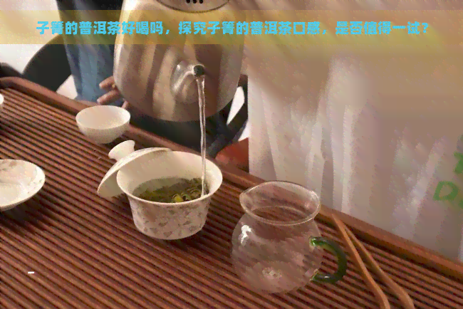 子箐的普洱茶好喝吗，探究子箐的普洱茶口感，是否值得一试？